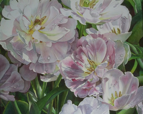 Double Tulips
20” x 28”
Private Collection